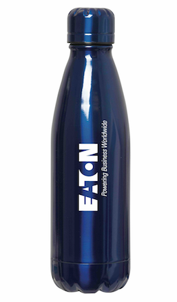 Rockit Shine 500 ml (17 oz) Stainless Steel Bottle